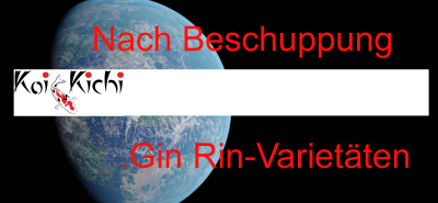 Gin Rin -Varietäten